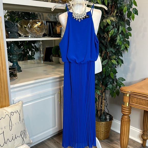 🆕NWT Sam Edelman Royal Blue, Pleated Maxi Skirt, S - Picture 1 of 13